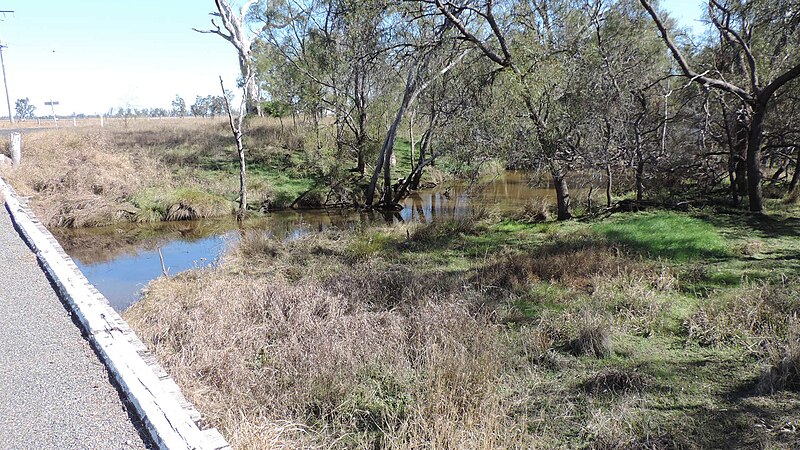 File:Condamine River, north branch, Tummaville Road crossing between Tummaville and Kincora, 2015 03.jpg