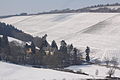 Südhang des Grünebergs im Winter