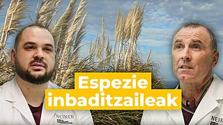 Espezie inbaditzaileak