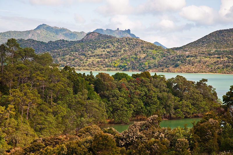 File:Parua Bay, Northland, New Zealand, 4th. Dec. 2010 - Flickr - PhillipC.jpg