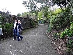 Path, Belfast Zoo - geograph.org.uk - 1848051.jpg