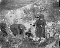 Thumbnail for File:The British Army on the Western Front, 1914-1918 Q6104.jpg