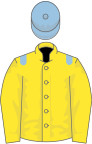 Yellow, light blue epaulets, light blue cap