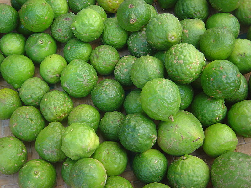 File:Citrus hystrix dsc07772.jpg