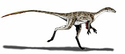 Реконструкція Coelurus fragilis