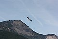 Bonneville Dam