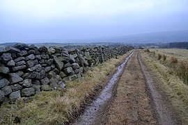 Track from Denton Moor towards Denton - geograph.org.uk - 3347313.jpg