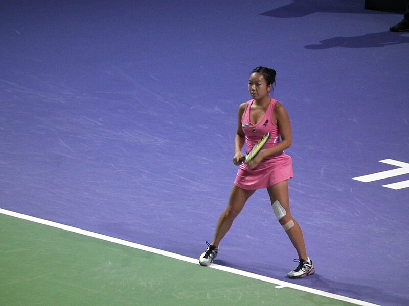 File:Vania King at the WTA Istanbul 2011 0118330 Nevit.jpg