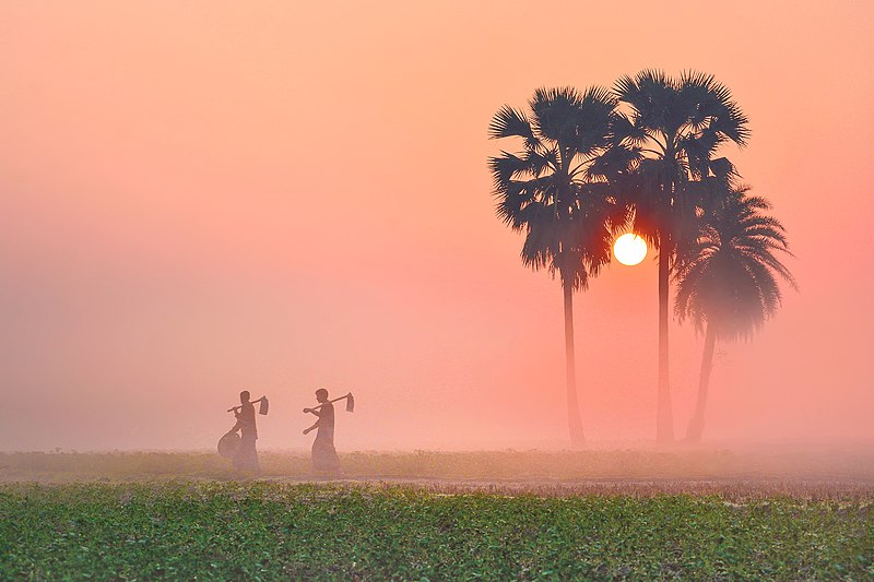 File:A foggy winter morning.jpg