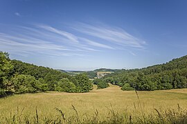 Blick über Auwallenburg von nördlich der Turmklause am Hühnberg.jpg