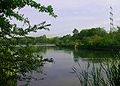 Ölbach an der Stadtgrenze Witten / Bochum, aufgestaut