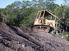 Artificial clearing for crocodile nesting