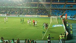 Deportivo Cali vs Equidad, fecha 16 del Torneo Finalización 2013