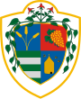 Wappen von Dunaharaszti