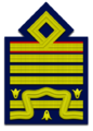 Distintivo per paramano di generale di squadra aerea con incarichi speciali dell'Aeronautica Militare Italiana