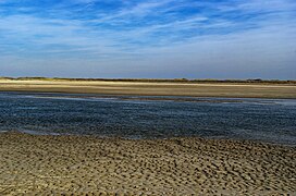 Texel - De Slufter - Nature Reserve 25.jpg