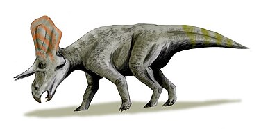 זוניצרטופס Zuniceratops