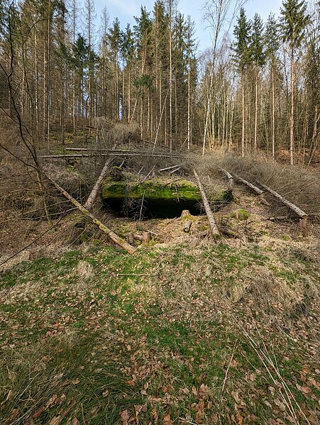 File:20240321 xl 0838-Wanderung zu den Schrammsteinen (Sächsische Schweiz) in Zeiten des Klimawandels (2024) 3.jpg