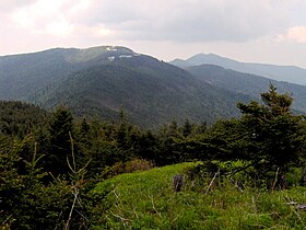 Vue du mont Mitchell, à gauche.