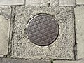 Ornate coal hole cover