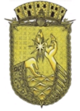 Brasão de armas de São Gabriel da Cachoeira