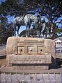 نصب تذكاري لحصانHorse Memorial