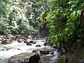 La rivière des Pères vers le saut de Matouba.