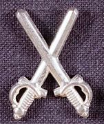 Branch insignia m/1960