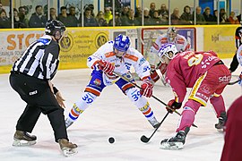 Match de hockey sur glace Dijon - Lyon