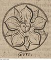 Hjertet i lutherrosen,[9] kirkereformatoren Martin Luthers personlige segl, representerer liv og kjærlighet, mens rosen står for glede og fred, korset for den kristne troen. Tegning fra 1706.