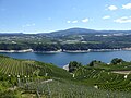 landscape near of Cles (Maiano) and a view to Roen (Mendelkamm)