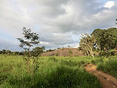 Polonnaruwa, Sri Lanka - panoramio (17).jpg