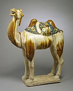 Chinese - Camel - Walters 492383 - Profile.jpg