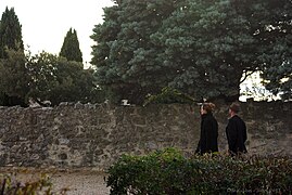 Couple à je me promène dans le Château au brunir.JPG