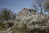 Burgruine Helfenberg