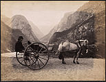 «Kariol», Nærøydalen ca 1888-1894 Foto: «K. Knudsen, Bergen.»