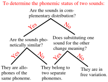 Une procédure simplifiée pour déterminer si deux sons représentent les mêmes phonèmes ou différents