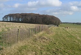 Pinder's Plantation - geograph.org.uk - 3234847.jpg