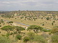 Savana en Tanzania