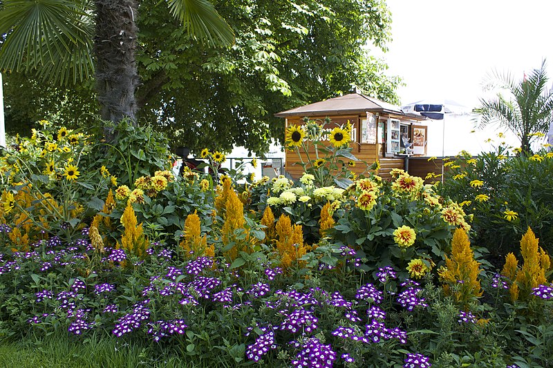 File:Bodensee, Lac de Constance - panoramio (262).jpg