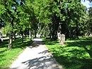 Ehemaliger Alter Friedhof