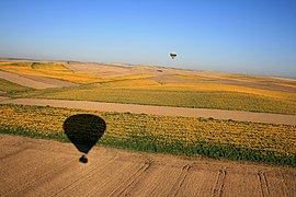 Aterrizando en los campos de Sevilla - panoramio.jpg