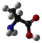 Molecuulmodel van L-alanine