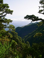 northern La Palma