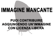 Immagine di Aulacocerida mancante