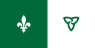 Drapeau franco-ontarien