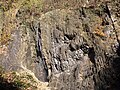 Flözausbiss im Nationalen Naturdenkmal Landek (Oberkarbon des Ostrava-Karviná-Beckens), Tschechien