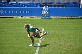 Aegon International 2016 (Day 2) DSC 1647 (27502131550).jpg