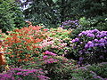 Arboretum in Kórnik