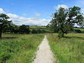 Descending towards the River Calder on the Burnley Way